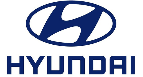 Tanque Radiador Hyundai Tiburon 67cm Inferior Salida