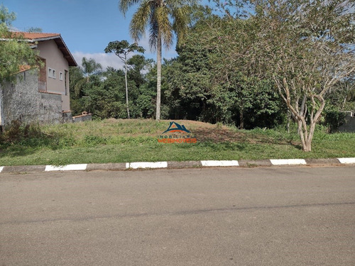 Imagem 7 de 9 de Terreno - Te00035 - 69551895