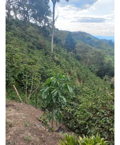 Se Vende Finca Córdoba Quindío