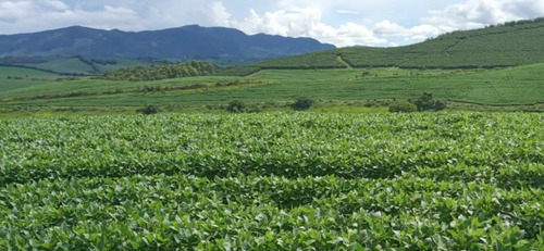 Fazenda A Venda No Sul De Minas Com 470 Ha - Bcp93