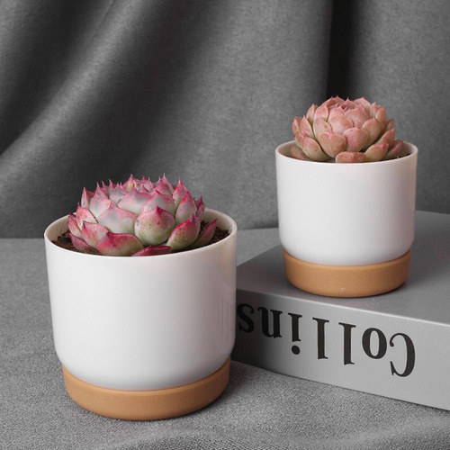 Macetas Para Orquídeas Maceta De Cerámica Para Flores De Int