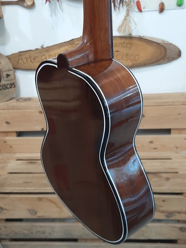 Imagen 4 de 6 de Ukelele De Concierto Profesional Con Su Forro Protector