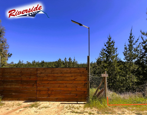 Parcela Con Gran Bosque, Ideal Para Refugio, Bucalemu