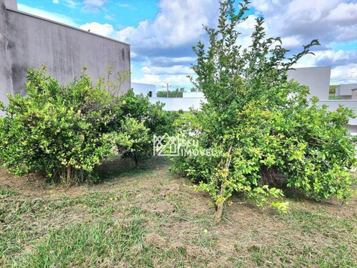 Imagem 5 de 27 de Terreno À Venda, 577 M² Por R$ 285.000,00 - Condomínio Palmeiras Imperiais - Salto/sp - Te1284