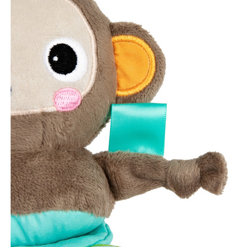 Juguete Musical Pull Play & Boogie Mono, Bright Starts 13089 0200-café Pull, Play & Boogie