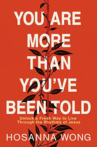 Book : You Are More Than Youve Been Told - Wong, Hosanna