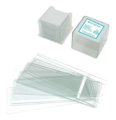 Cubre Objetos De Vidrio 24 X 32 Mm X 100 Unidades Everglass