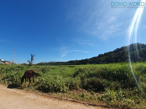 Imagem 3 de 10 de Terreno - Rio Grande Da Serra - Te00023 - 33992921