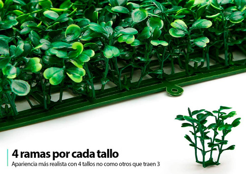 Imagen 4 de 6 de 50 Malla Treboles Valla Cerca Pasto Planta Enredadera Hojas
