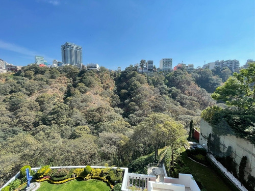 Imagen 11 de 30 de Península La Punta El Mejor Renta
