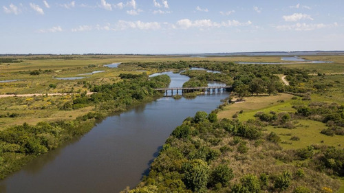 Imagen 9 de 10 de Campo - José Ignacio
