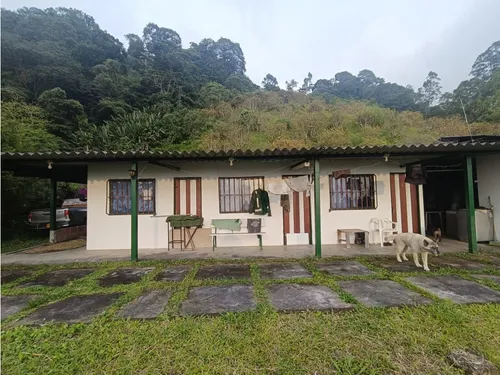Se Vende Finca En Salento - Quindío