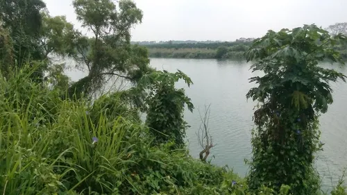 Tuxpan Ver Renta De Casas Frente Al Rio, 1500 M² En Ojite