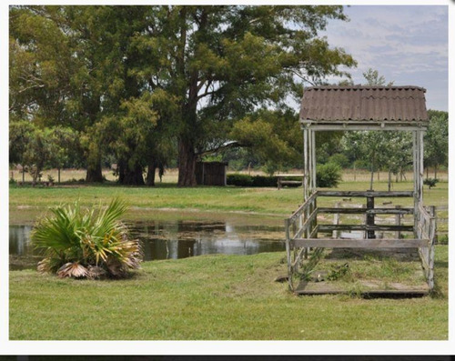 Retasado Venta De Campo, Fondo De Comercio,  6has. En Gral. Rodriguez, Pcia. De Buenos Aires