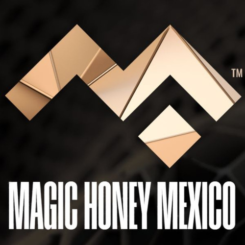 Magic Honey Suplemento Alimenticio 480g 480ml Líquida Sachet