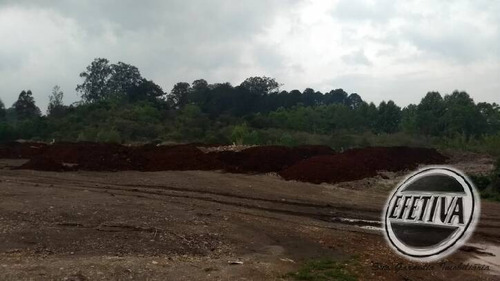 Imagem 6 de 8 de Área Terreno 13.500 M² - Pinhais - Colombo Pr - 577t