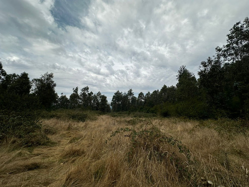 Excelente Campo De 160 Has / Cuarta Faja Gorbea