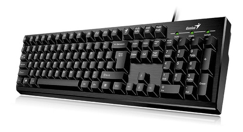 Teclado Genius KB-100 USB Negro