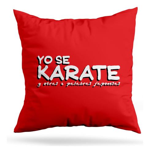 Cojin Deco Yo Se Karate (d0953 Boleto.store)