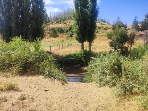 Venta De Terreno Agricola En Santa Juana
