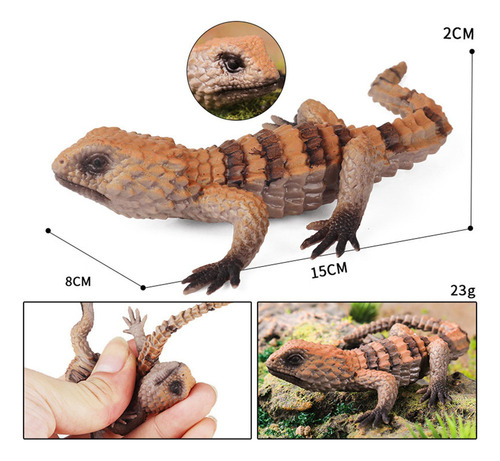 . Mini Figuras De Modelo Juguetes De Animales En Tipo D
