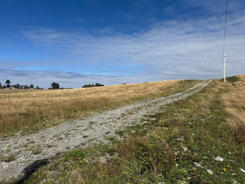 Parcelas Listas Para Construir, Camino Alerce, Puerto Varas