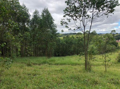 Imagem 6 de 14 de A26- Lotes Pra Casa De Campo