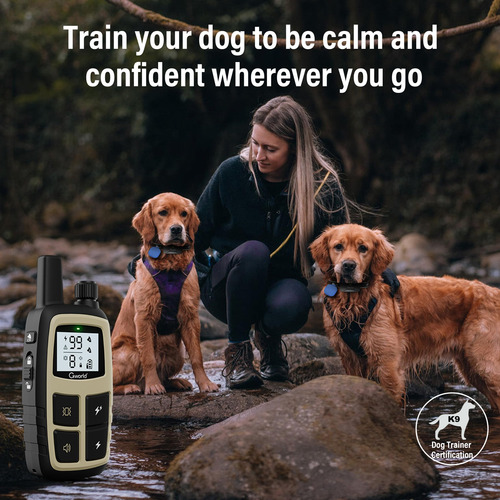 Collar Gps Gworld I Tag Perro Entrenamiento Control Remoto Gris Nombre Del Diseño Tamaño Del Collar