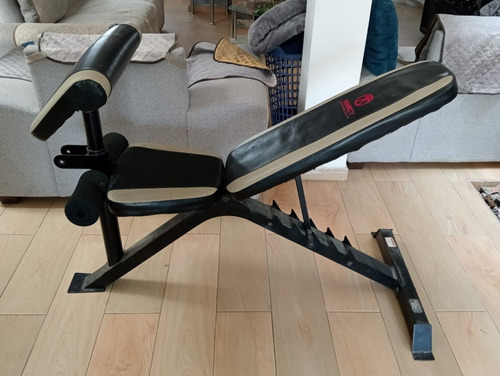 Banco Plegable Con Soporte Para Biceps Profesional