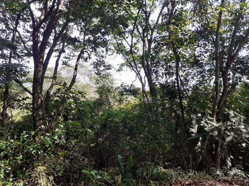 Imagem 6 de 12 de Terreno Por R$ 170.000 - Maravista /rj - Te5013