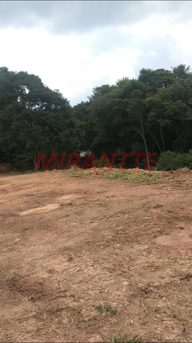 Imagem 3 de 8 de Terreno Em Serra Da Cantareira - São Paulo, Sp - 352874