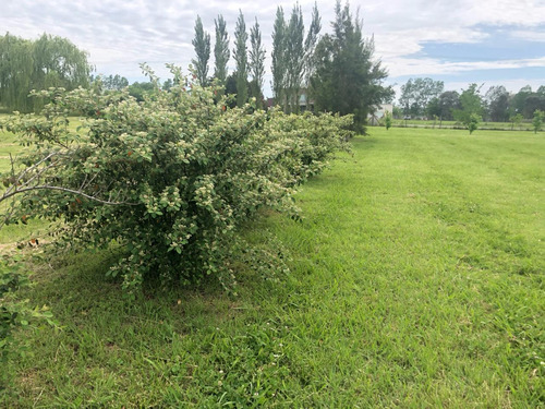 Lotes De 1 Hectarea Santa Matilde Comarcas De Lujan