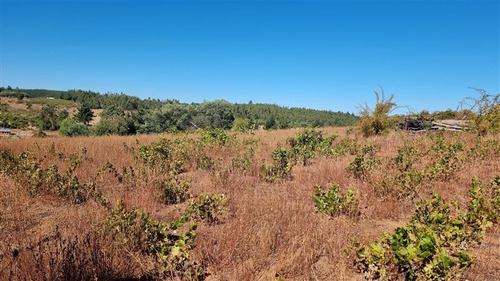 Parcela De 1,61 Ha En Venta Sector Rahuil