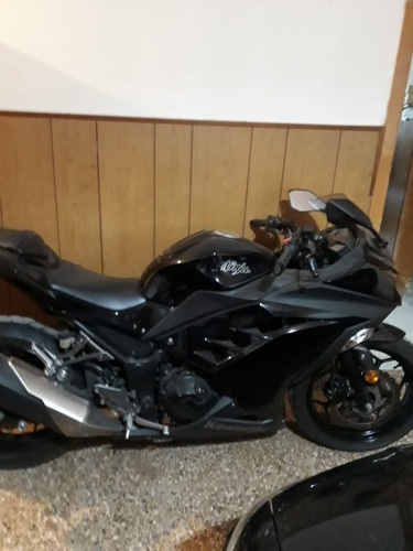 Imagen 1 de 1 de Kawasaki Ninja 300