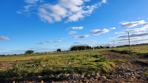 Venta Lote Las Margaritas