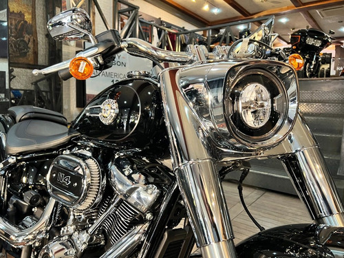 Imagen 8 de 10 de Harley-davidson Fatboy 114