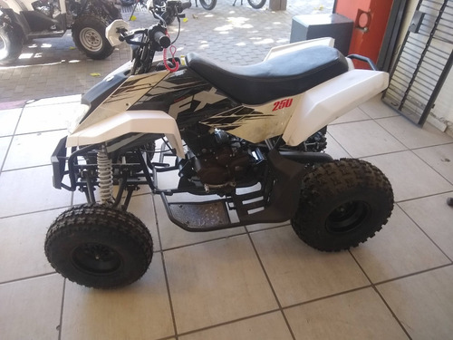Imagen 5 de 16 de Zanella Fx 250 Mad Max $111.650 X 12 Cuotas