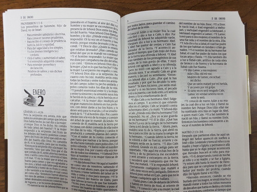 leer la biblia reina valera 1960 en un año leer la biblia reina valera 1960 en un año