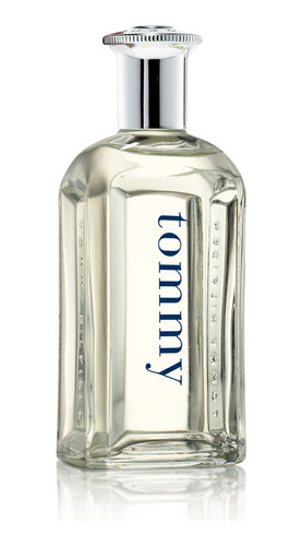 Perfume Hombre Tommy Hilfiger Tommy Men Edt 100 Ml