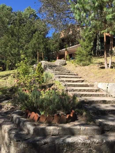 Imagen 7 de 10 de Hermoso Rancho Con Cabaña En Hidalgo. 32.2 Hectare. Vista
