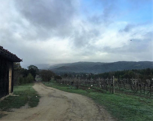 Cauquenes Viñas Y Forestal, 2 Tranques (70047)