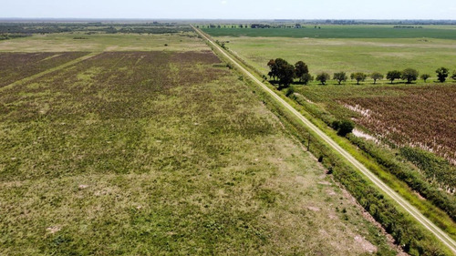 Imagen 7 de 10 de Campo De 1500 Ha Agrícola-ganadero - Galvez