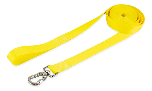 Coleira Guia Para Cachorro Micro Pet 10 Metros Cores Cor Amarelo