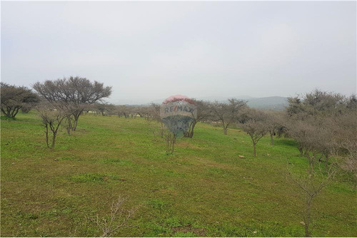 Sector Los Laureles - Terreno En Limache 5000 Mt