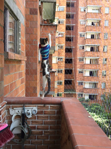 Mallas De Seguridad Transparente Balcones Y Ventanas Gatos