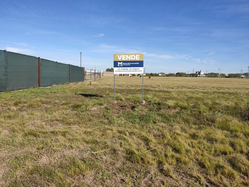 Imagen 2 de 3 de Vende Excepcional Terreno En Barrio Las Calandrias