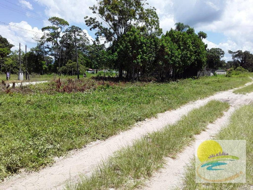 Imagem 7 de 10 de Terreno À Venda, 811 M² Por R$ 250.000,00 - Brandalize - Itapoá/sc - Te0605