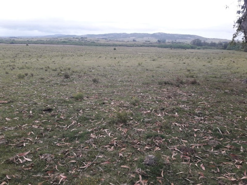 Campo De 47 Has En Paraje Los Caracoles - Consulte !!!!!- Ref: 1359