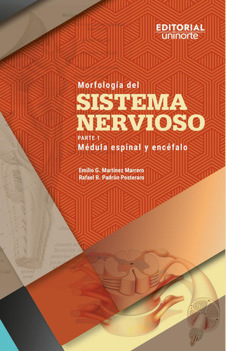 Morfología Del Sistema Nervioso: No, de Martínez  Marrero, Emilio., vol. 1. Editorial Universidad del Norte, tapa pasta blanda, edición 1 en español, 2023