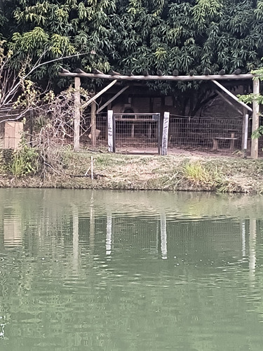 Aluguel De Área Camping, Com Área De Lazer, Quadra De Vôlei